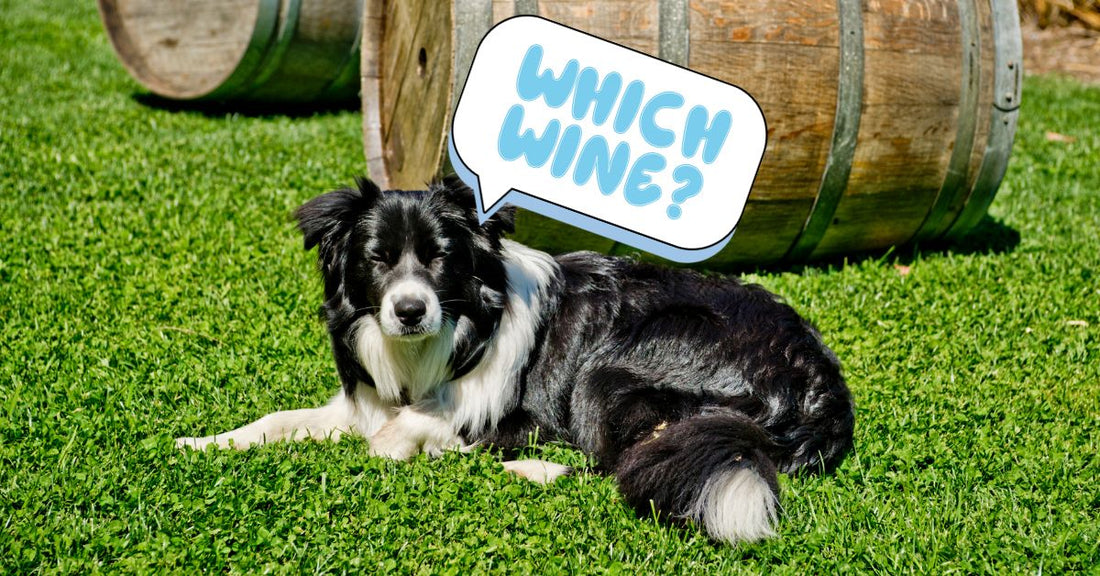 Which Bluey Character Matches Your Favorite Aussie Wine?